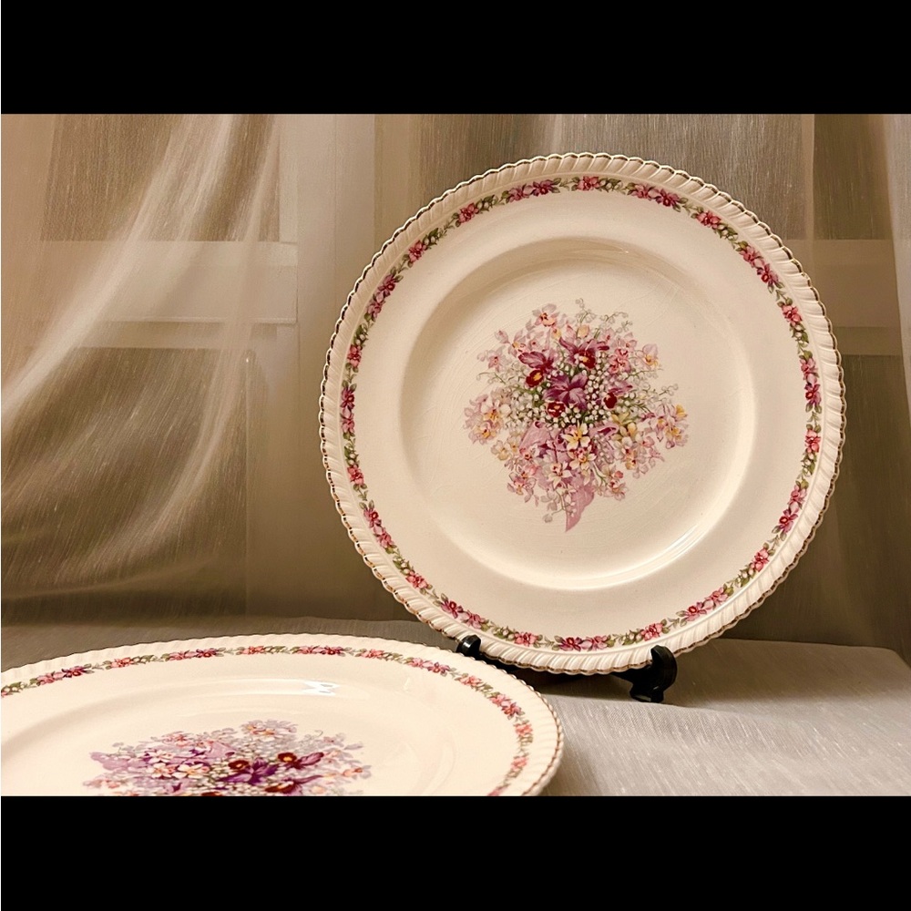 Vintage set of 2 “Queens Bouquet” Dinner Plate by Johnson Brothers England